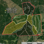 Detailed Aerial showing timber info.