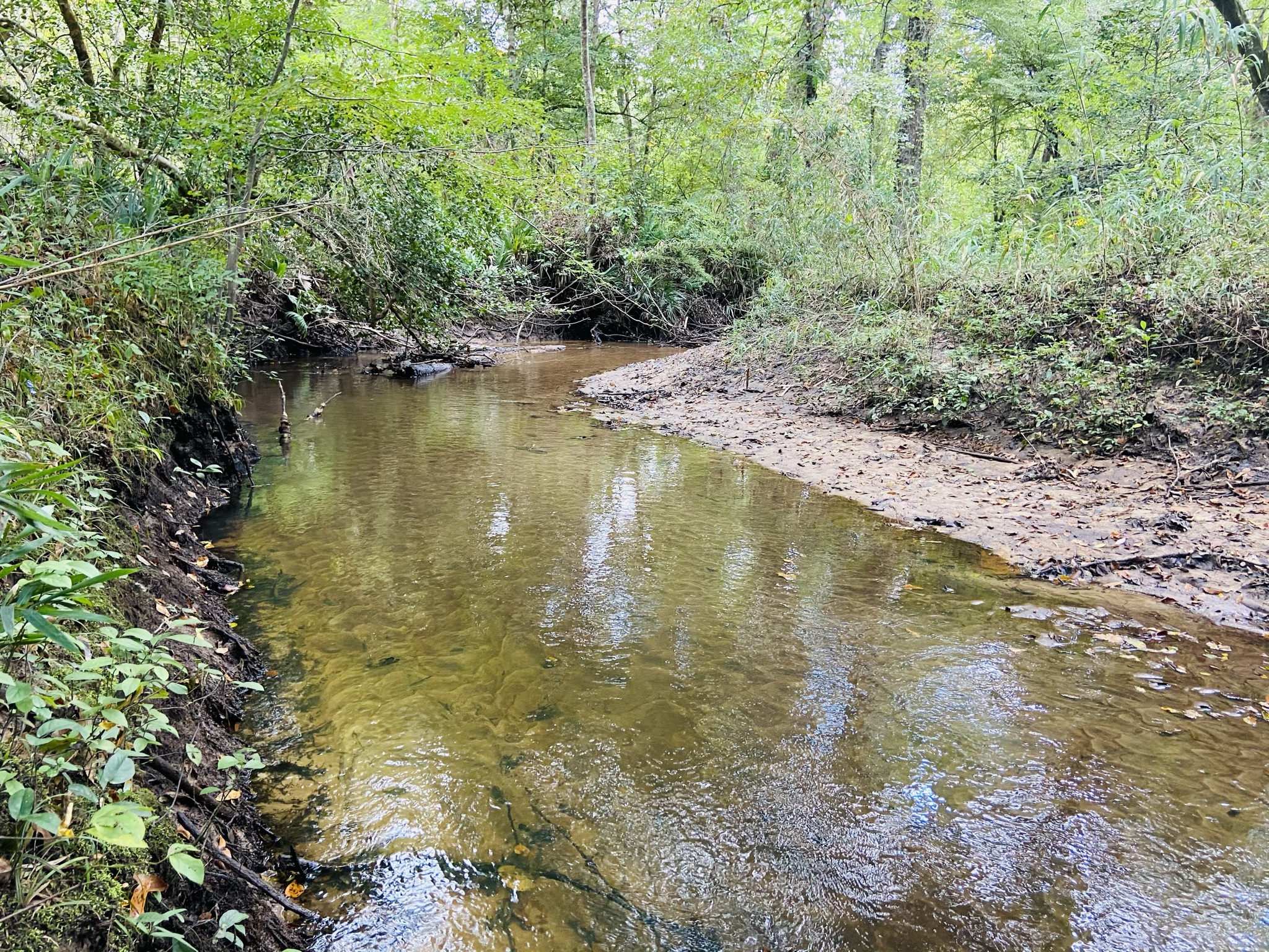 Cedar Creek Retreat Photo