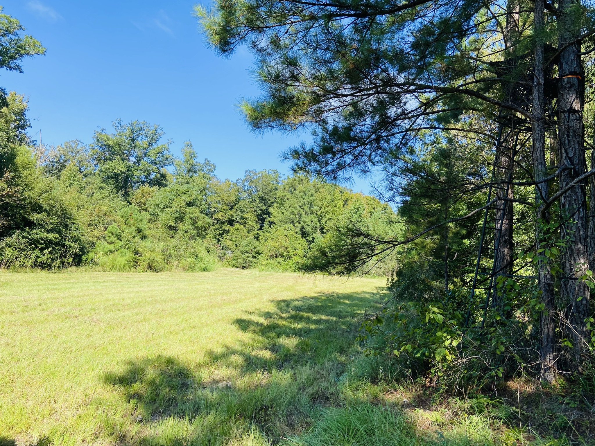 Cedar Creek Retreat Photo