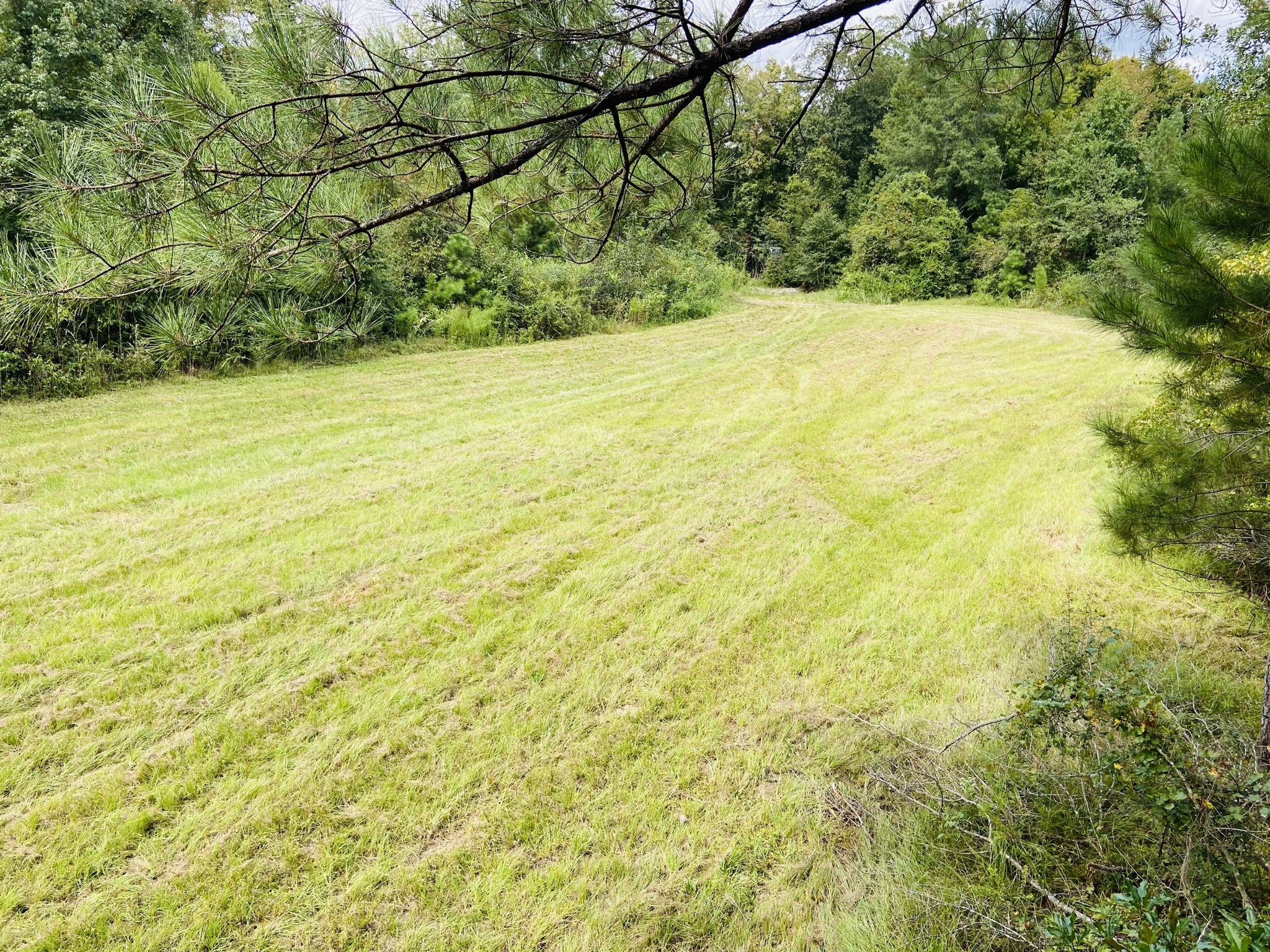 Cedar Creek Retreat Photo