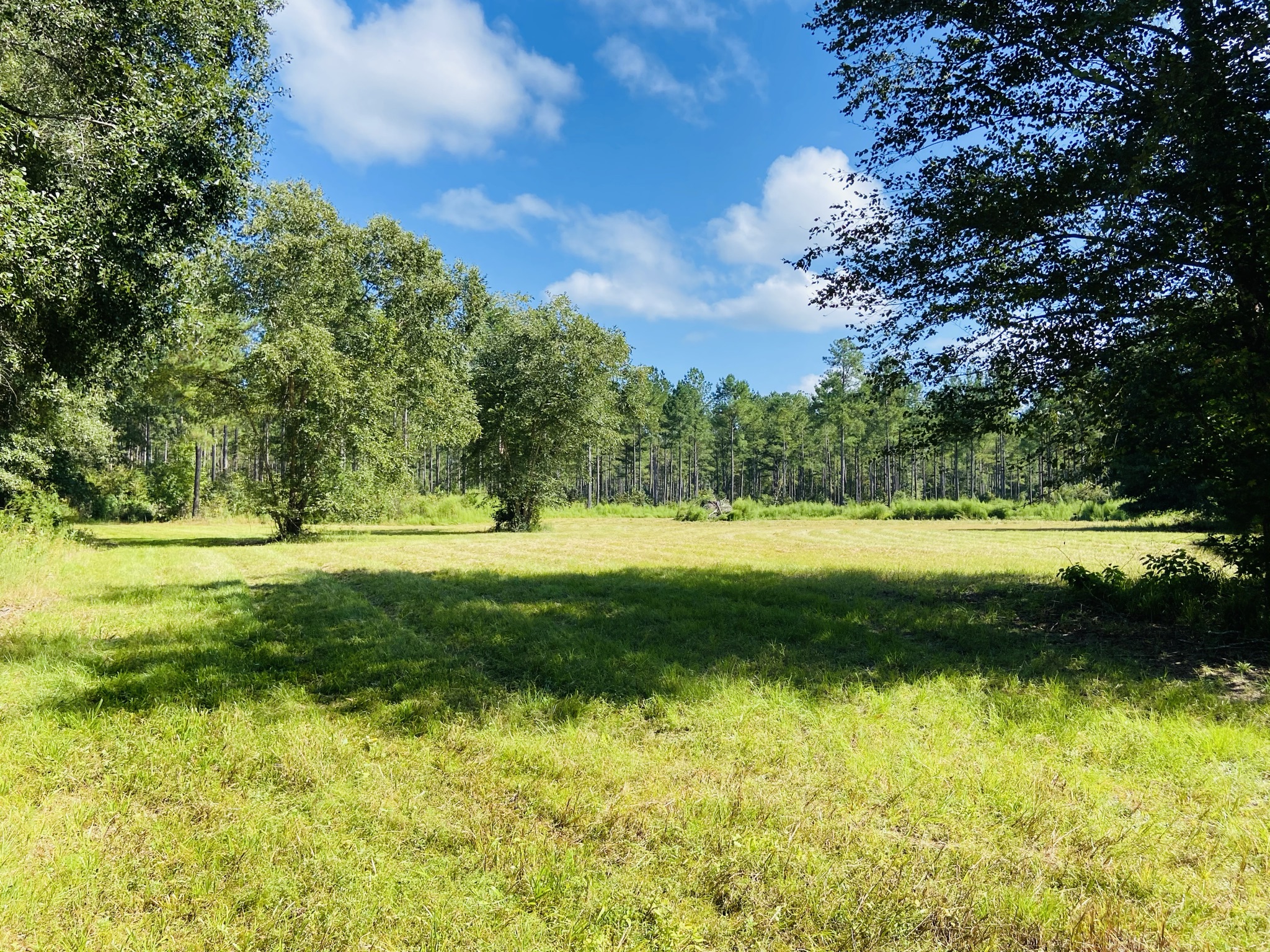 Cedar Creek Retreat Photo