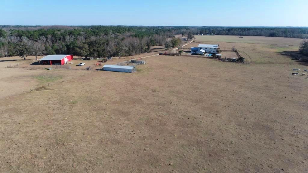 Ogeechee Homeplace & Farm Photo