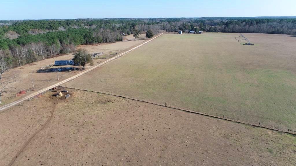 Ogeechee Homeplace & Farm Photo