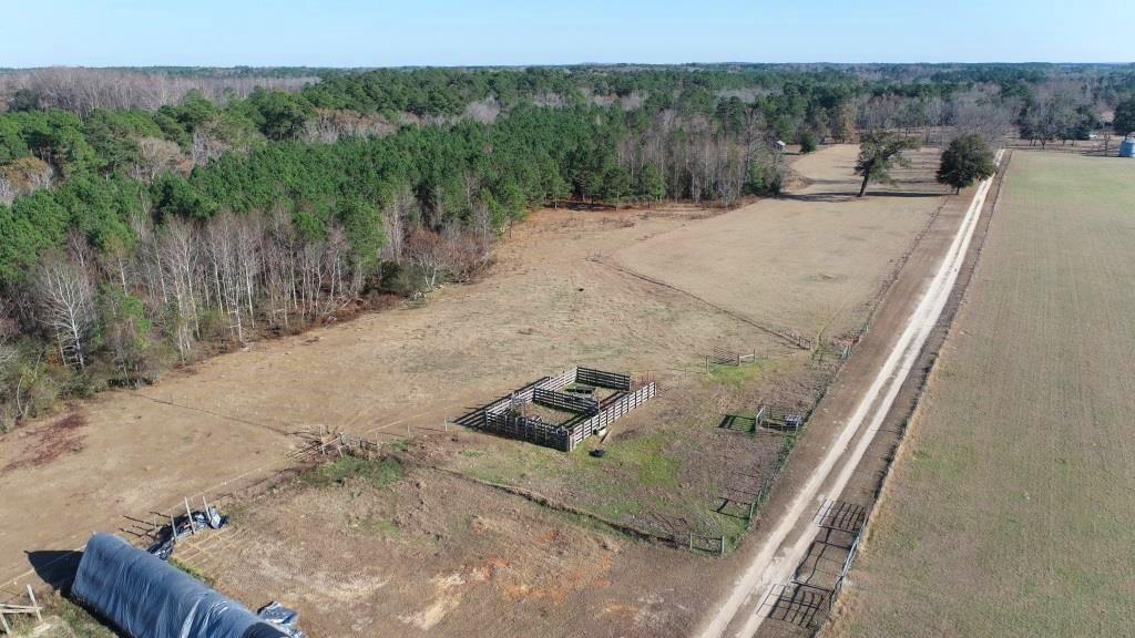 Ogeechee Homeplace & Farm Photo