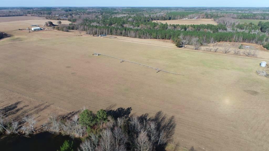 Ogeechee Homeplace & Farm Photo