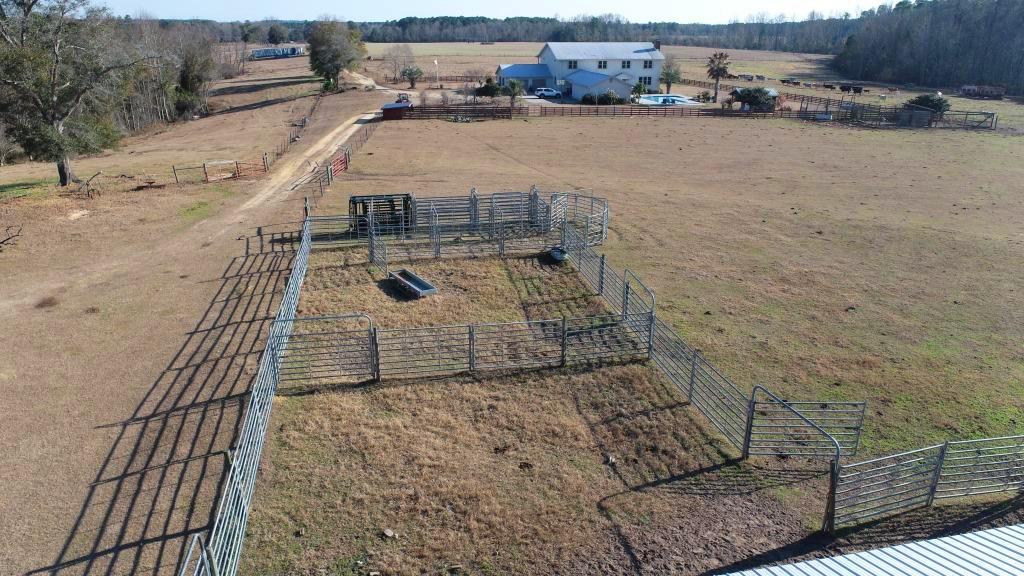 Ogeechee Homeplace & Farm Photo