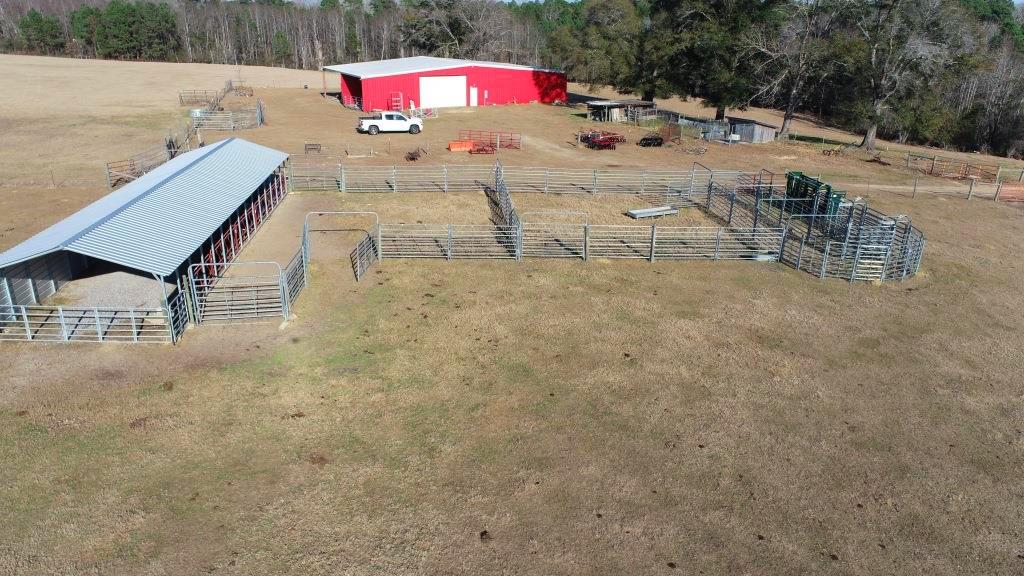 Ogeechee Homeplace & Farm Photo