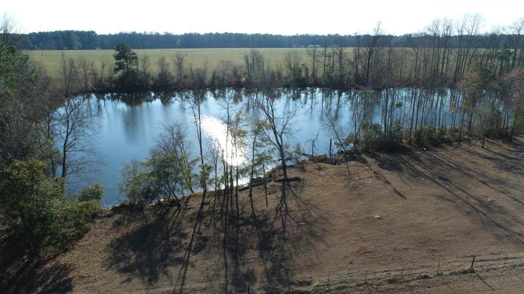 Ogeechee Homeplace & Farm Photo