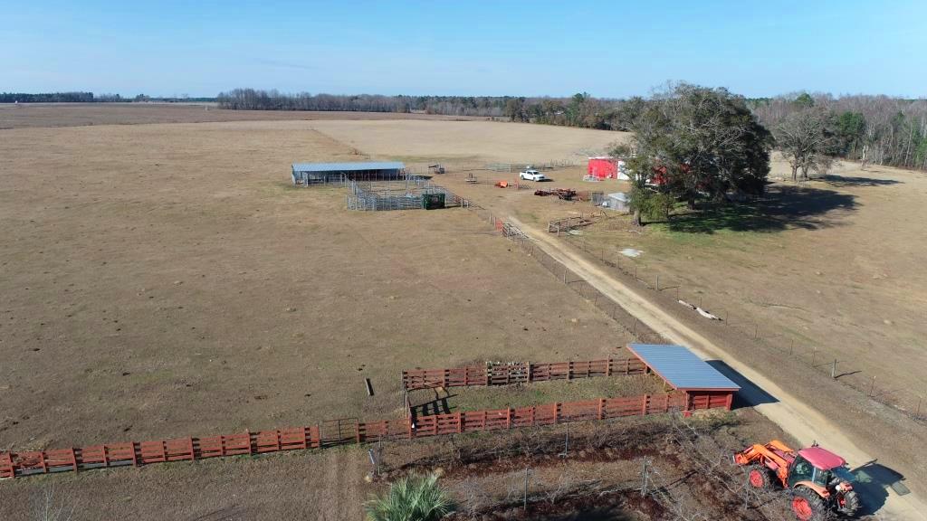 Ogeechee Homeplace & Farm Photo