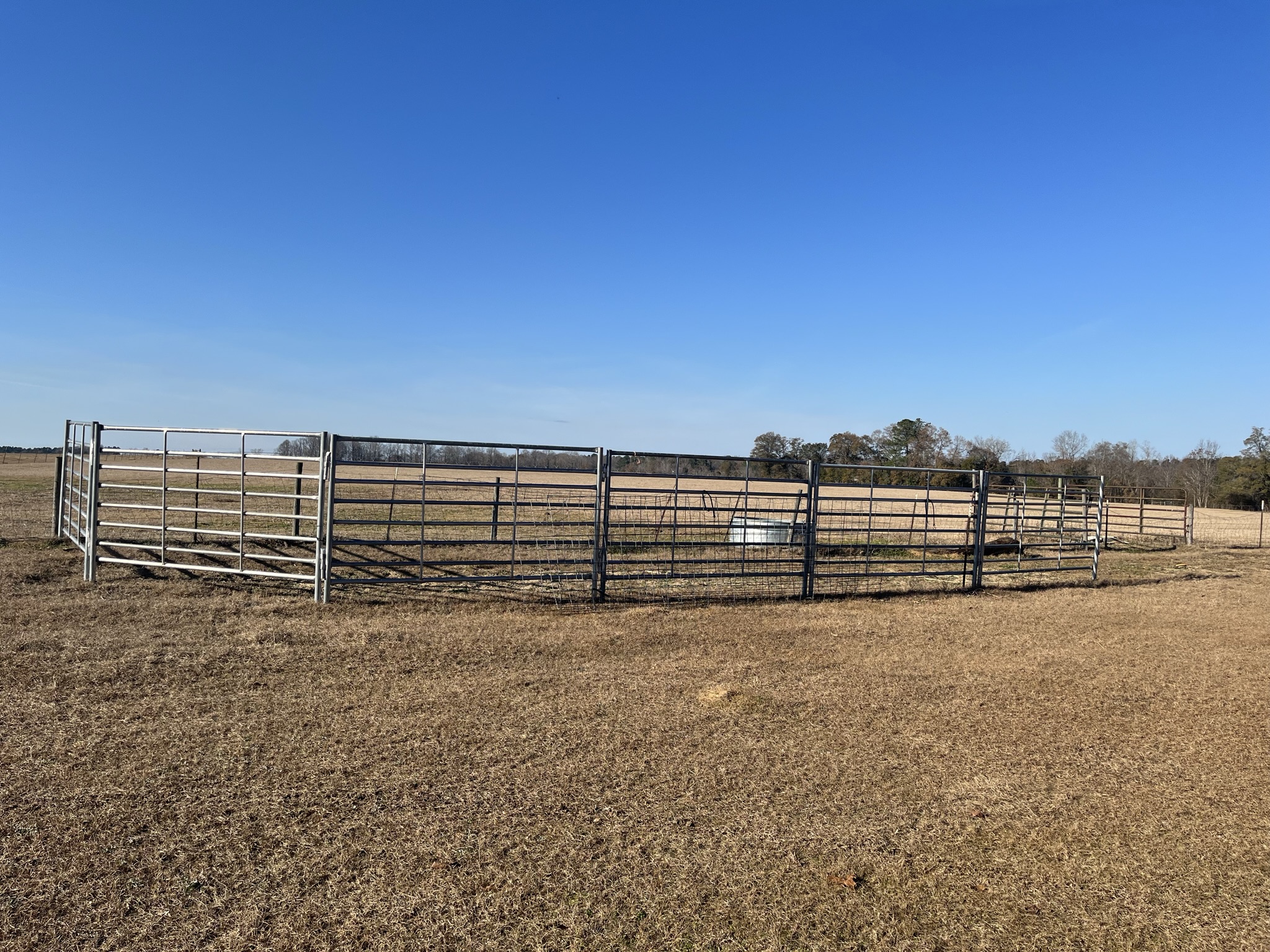 Ogeechee Homeplace & Farm Photo