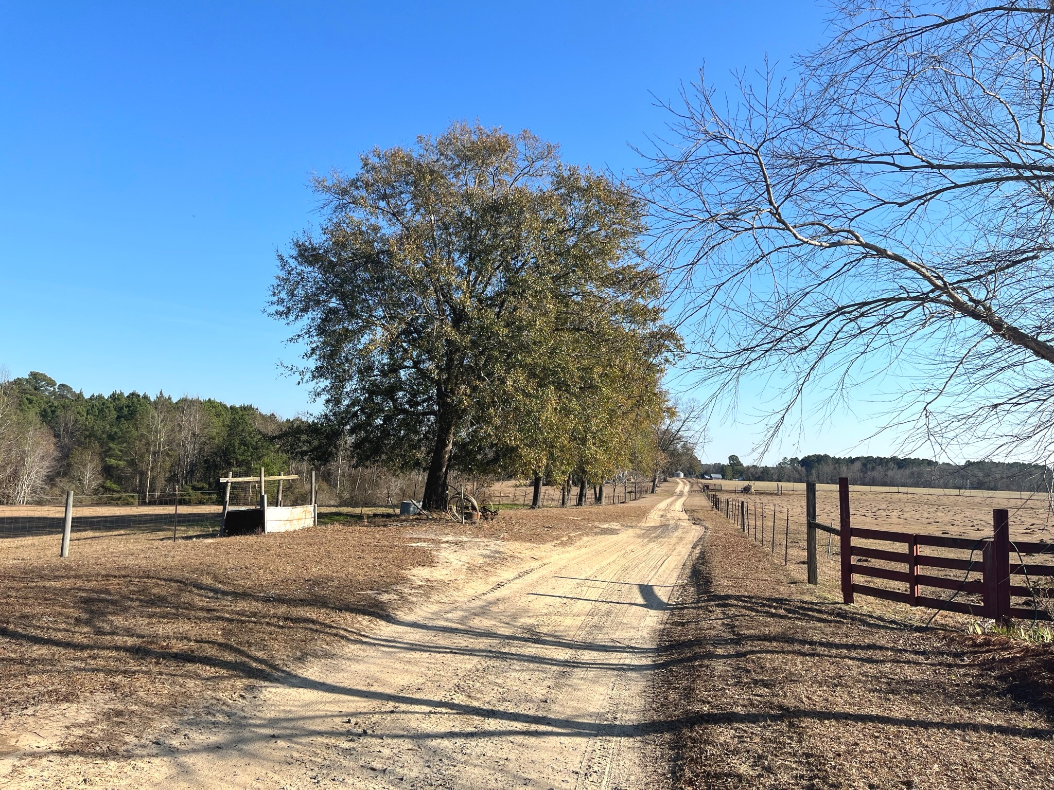 Ogeechee Homeplace & Farm Photo