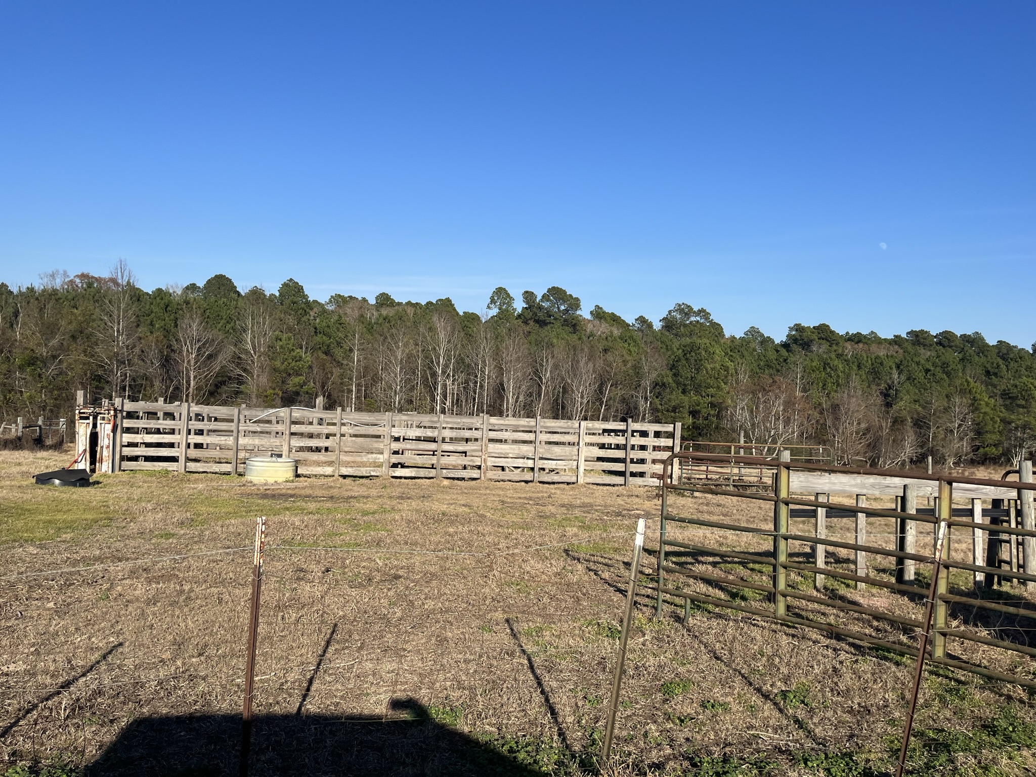 Ogeechee Homeplace & Farm Photo