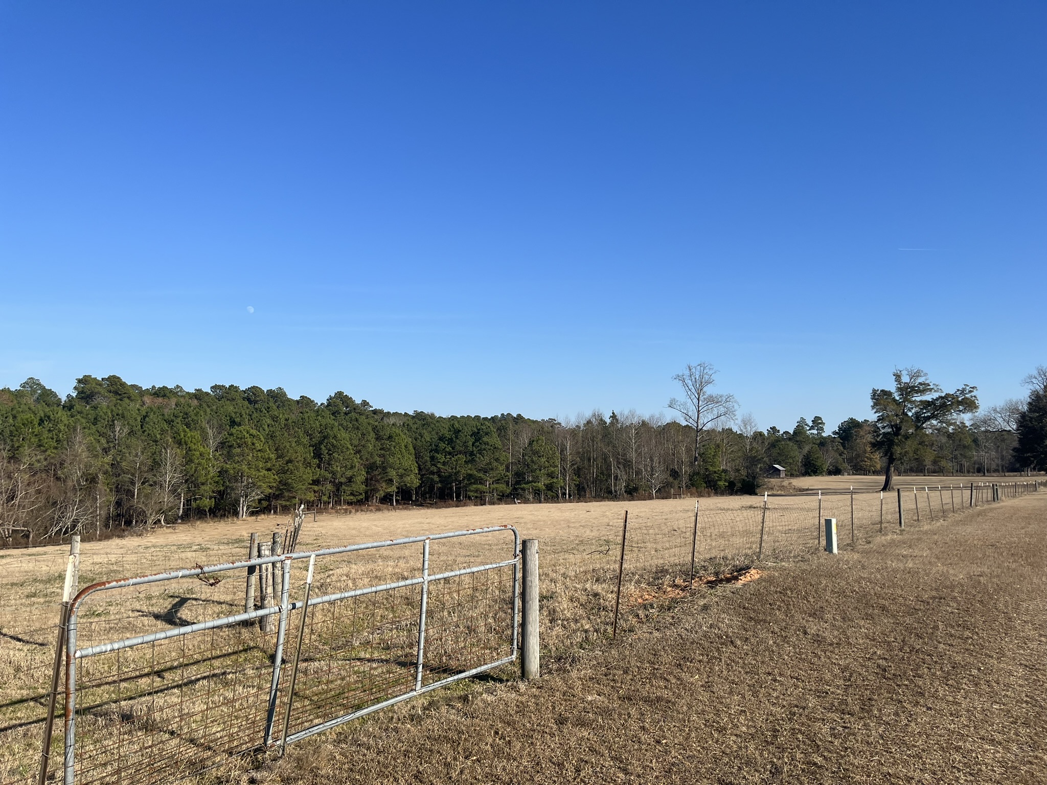 Ogeechee Homeplace & Farm Photo