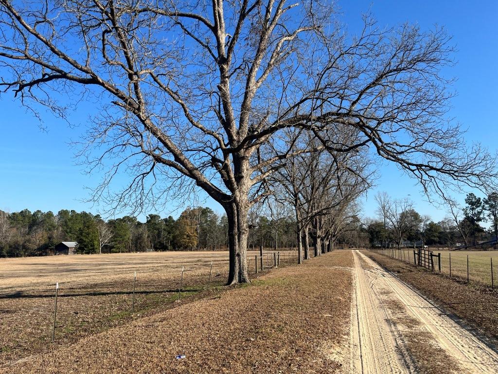 Ogeechee Homeplace & Farm Photo