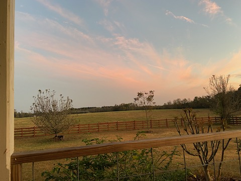 Ogeechee Homeplace & Farm Photo