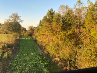 Ogeechee Homeplace & Farm Photo