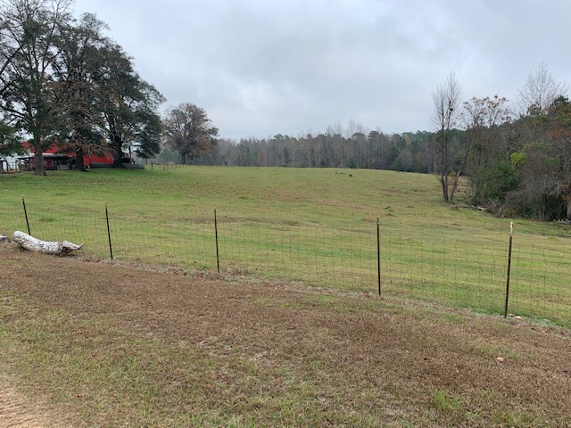 Ogeechee Homeplace & Farm Photo