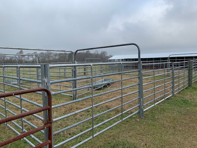 Ogeechee Homeplace & Farm Photo