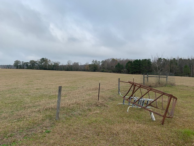 Ogeechee Homeplace & Farm Photo