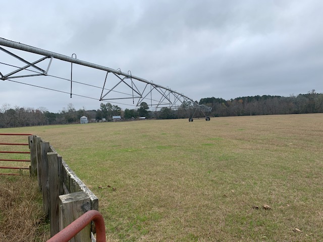 Ogeechee Homeplace & Farm Photo