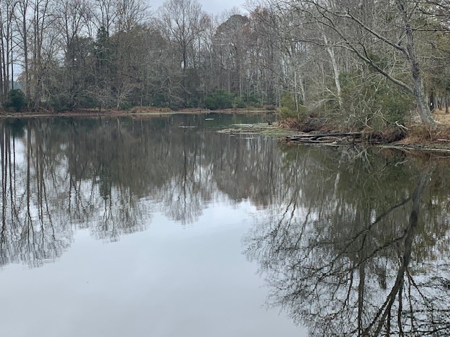 Ogeechee Homeplace & Farm Photo