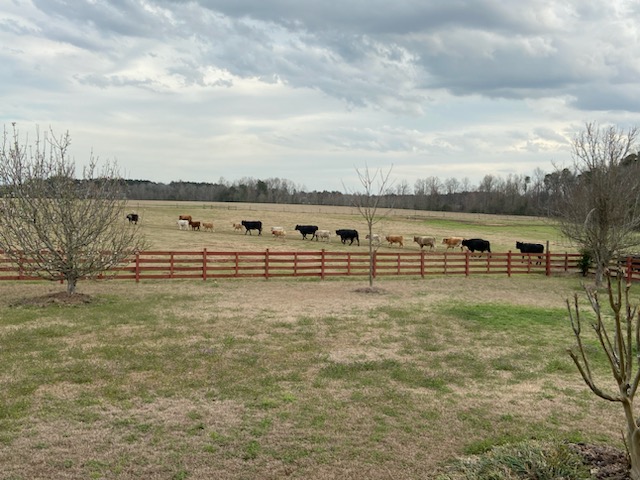 Ogeechee Homeplace & Farm Photo