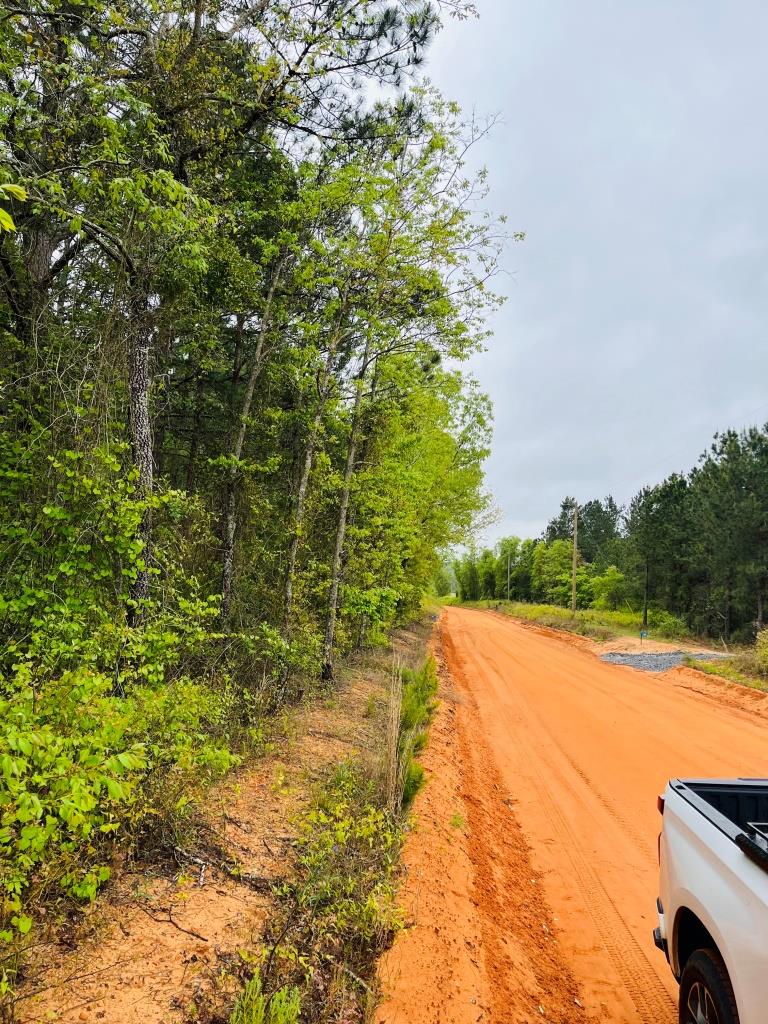 Fall Line Homesite Photo