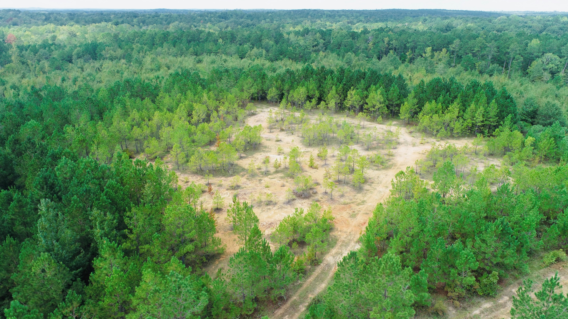 Middle GA Homesite Photo