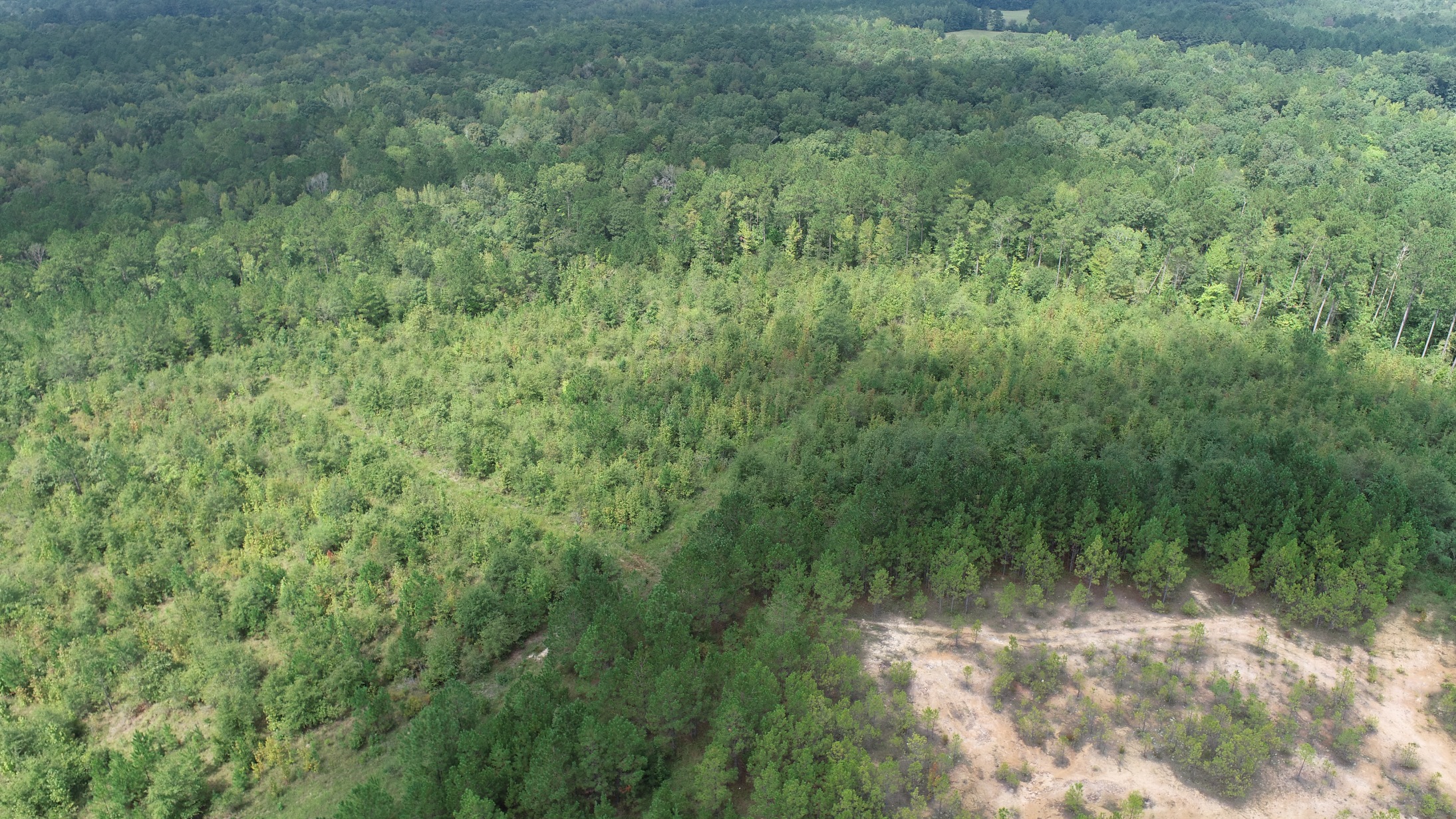 Middle GA Homesite Photo