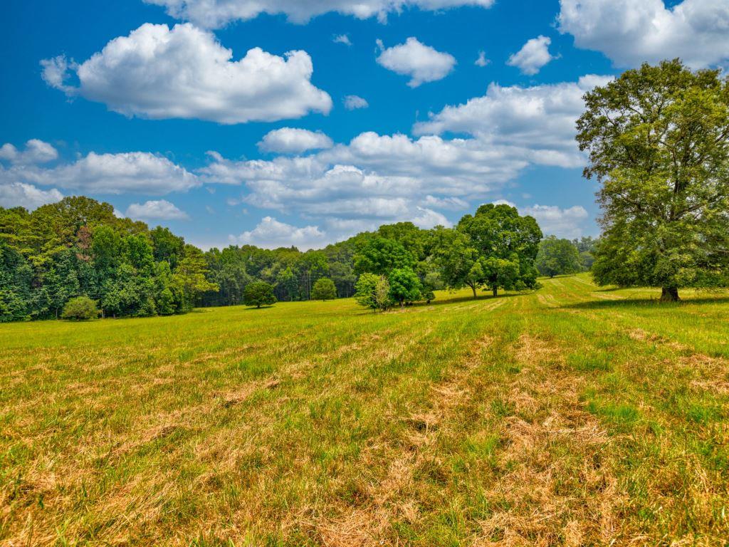 Piedmont Gentleman’s Farm Photo