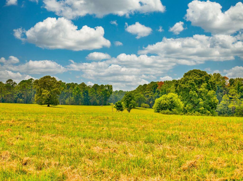 Piedmont Gentleman’s Farm Photo