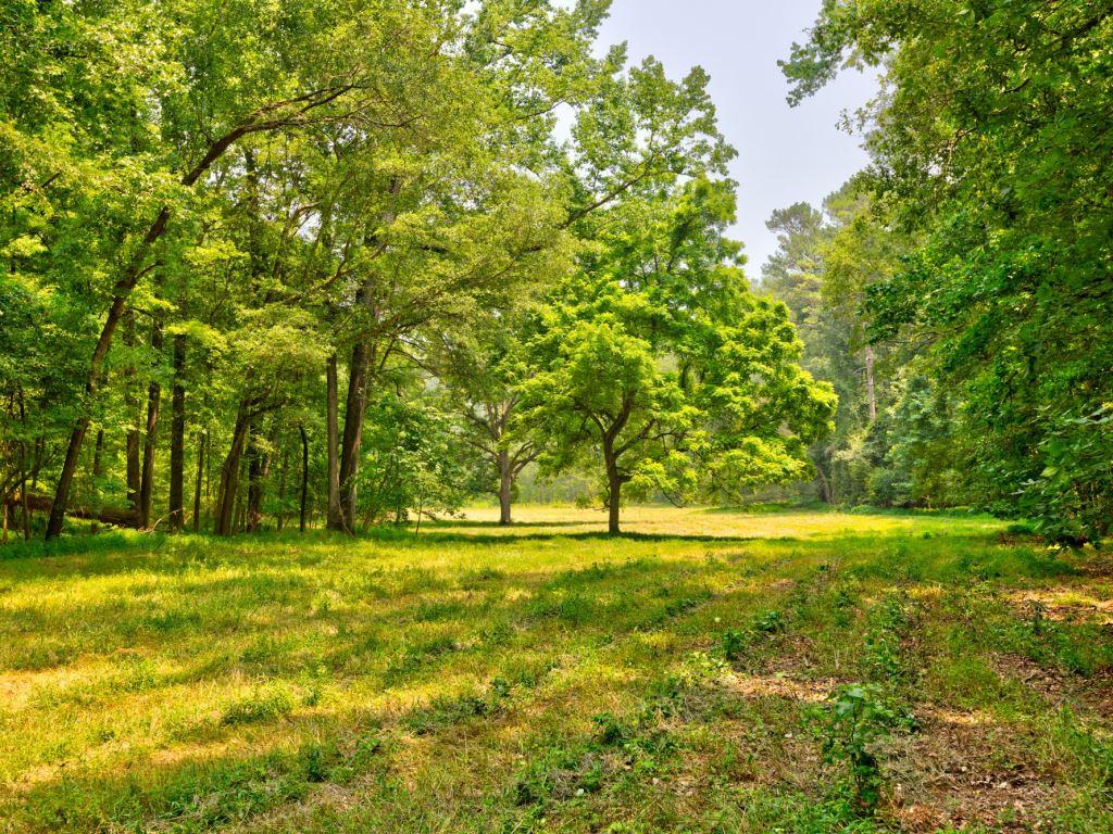 Piedmont Gentleman’s Farm Photo