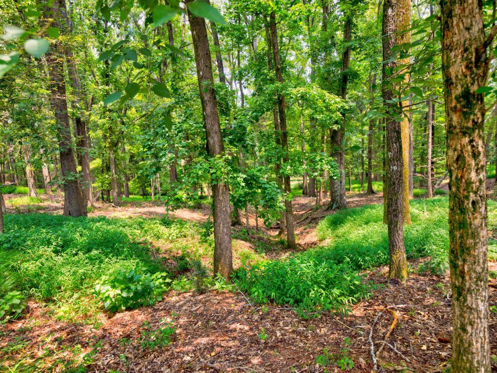 Piedmont Gentleman’s Farm Photo