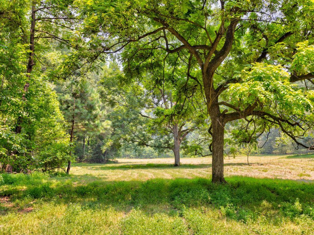 Piedmont Gentleman’s Farm Photo