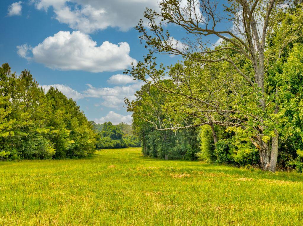 Piedmont Gentleman’s Farm Photo