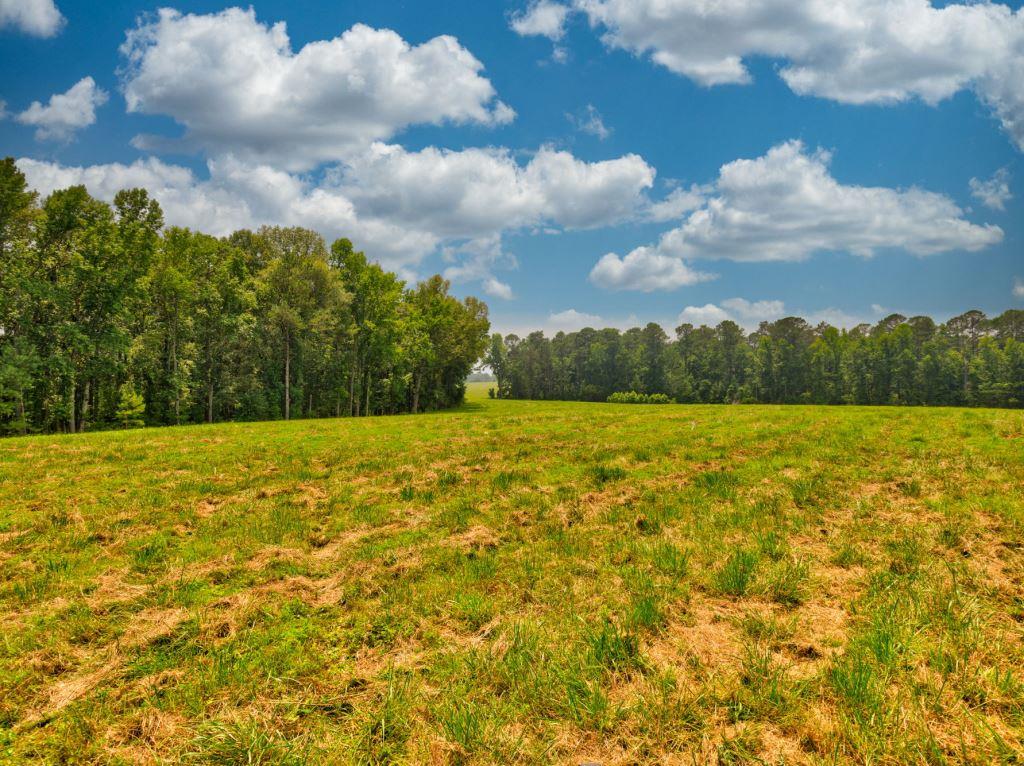 Piedmont Gentleman’s Farm Photo