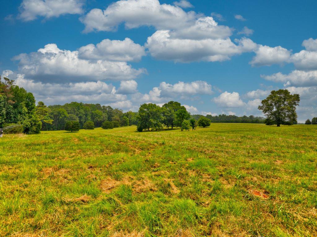 Piedmont Gentleman’s Farm Photo