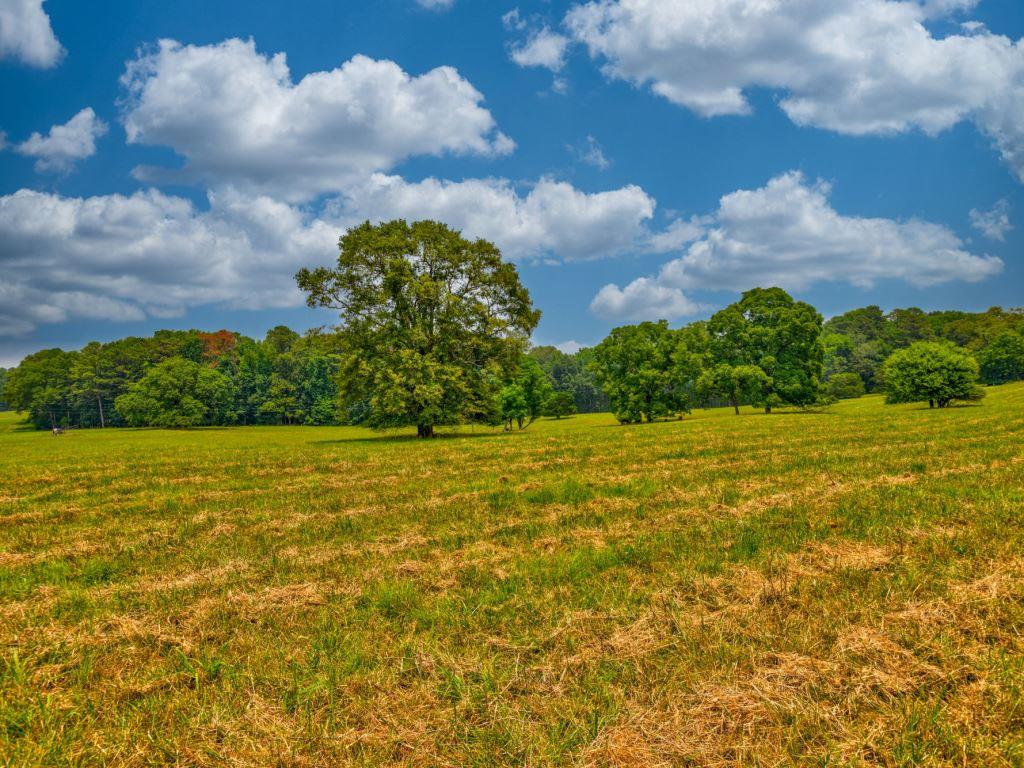 Piedmont Gentleman’s Farm Photo