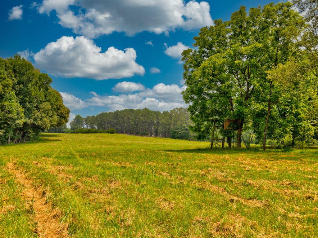 Piedmont Gentleman’s Farm Photo