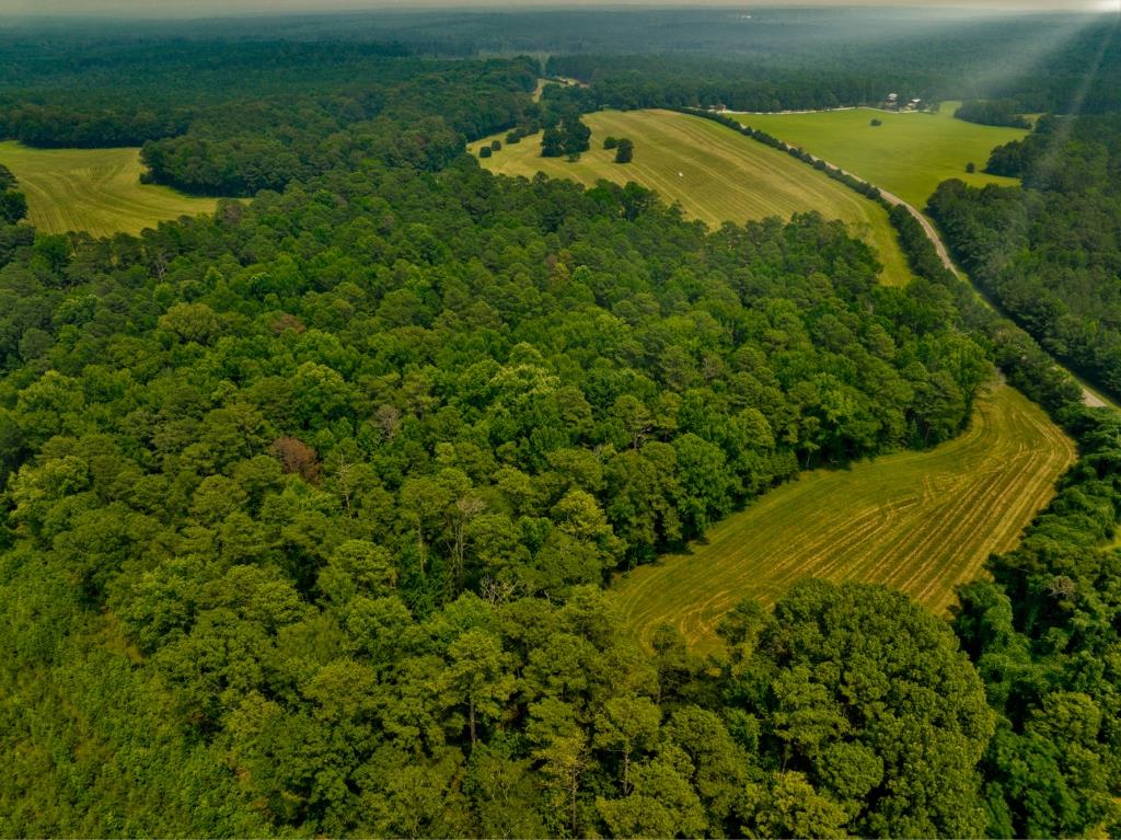 Piedmont Gentleman’s Farm Photo