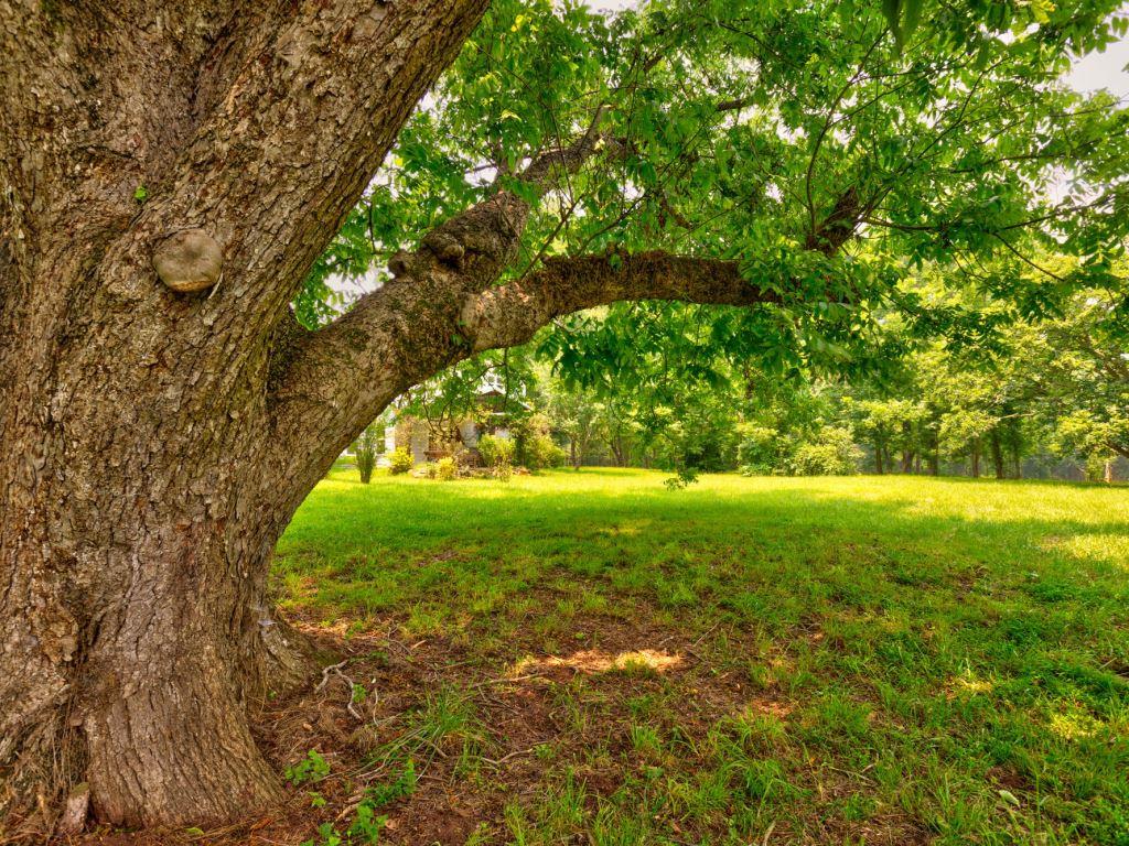 Piedmont Gentleman’s Farm Photo