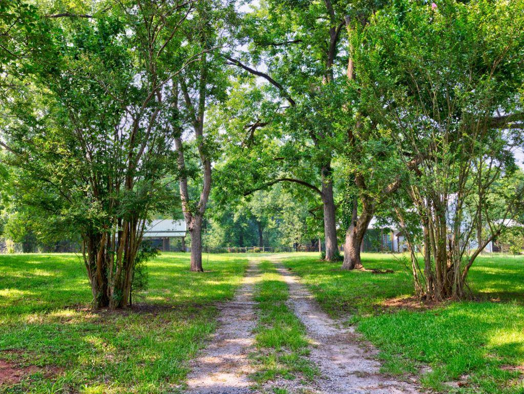 Piedmont Gentleman’s Farm Photo