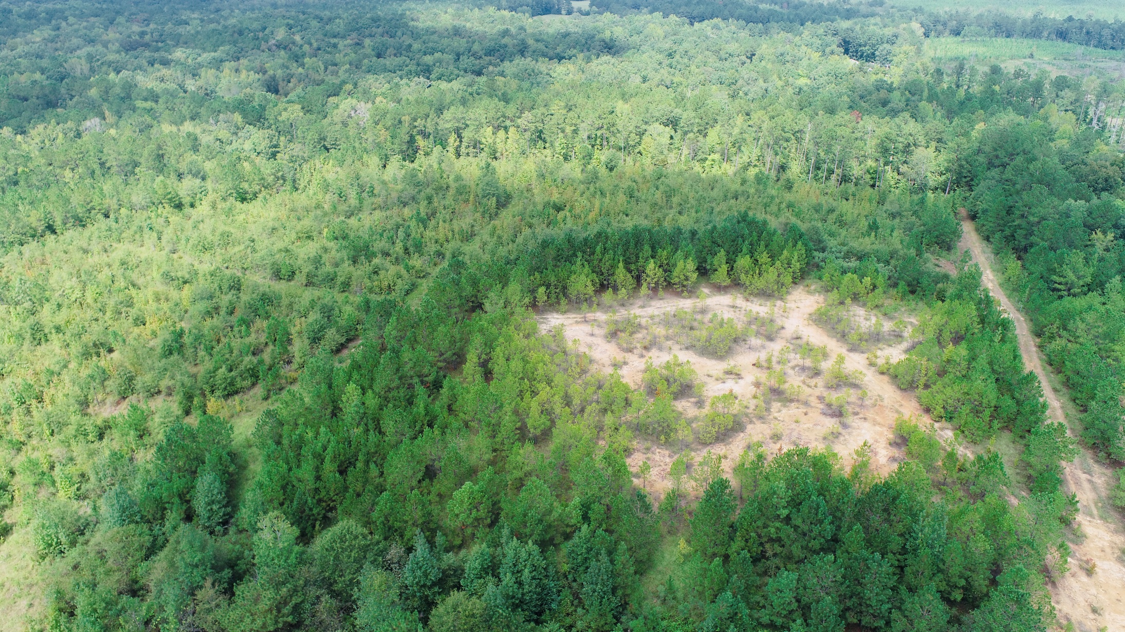 Middle GA Homesite Photo