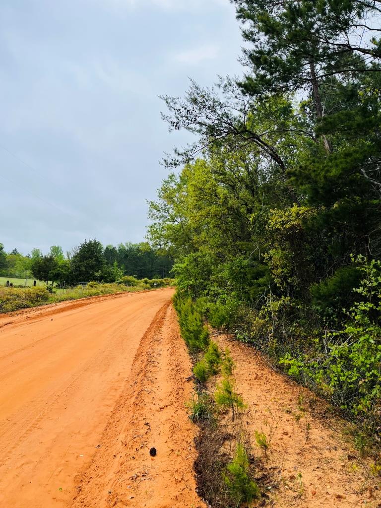 Fall Line Homesite Photo