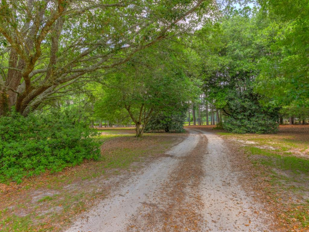 Jarrell Farm Retreat Photo