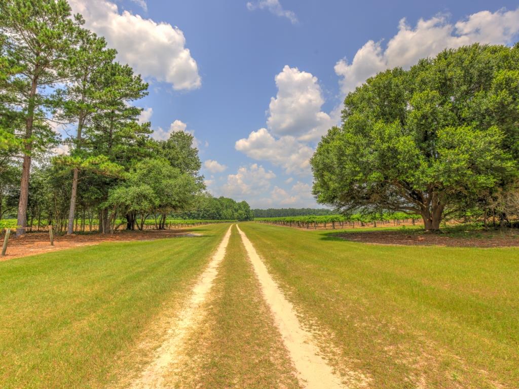 Jarrell Farm Retreat Photo