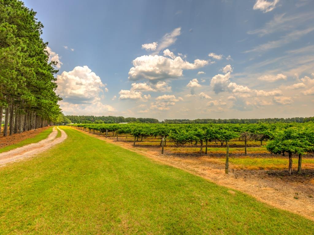 Jarrell Farm Retreat Photo