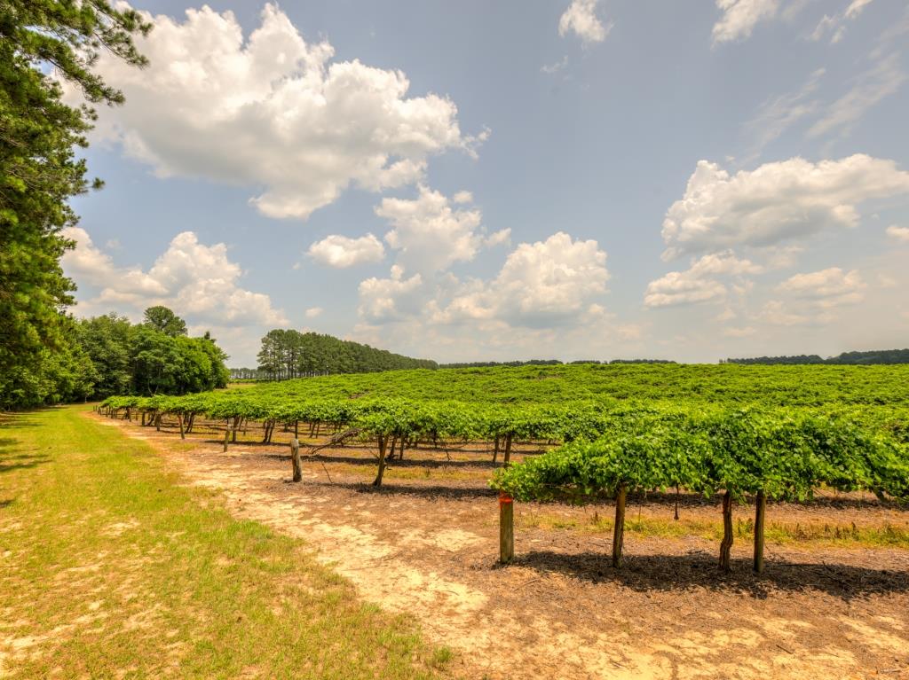 Jarrell Farm Retreat Photo