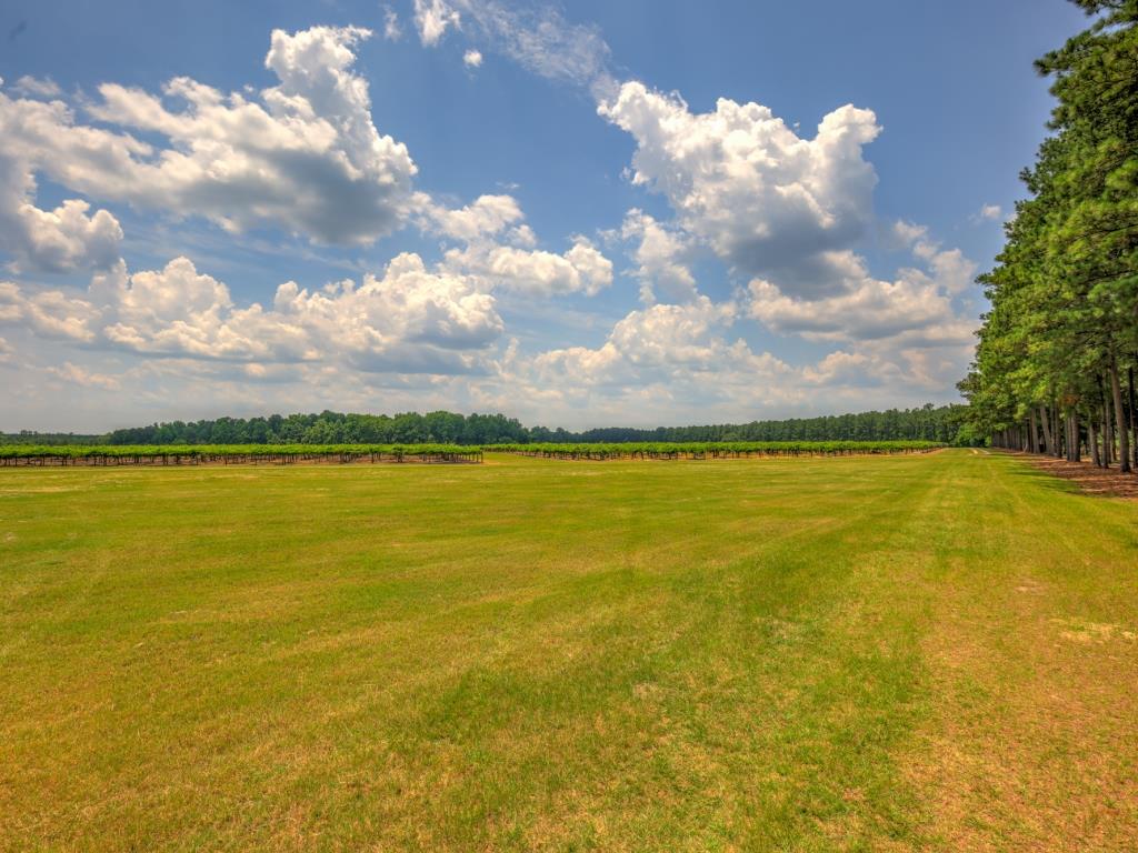 Jarrell Farm Retreat Photo