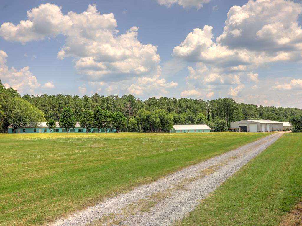 Jarrell Farm Retreat Photo